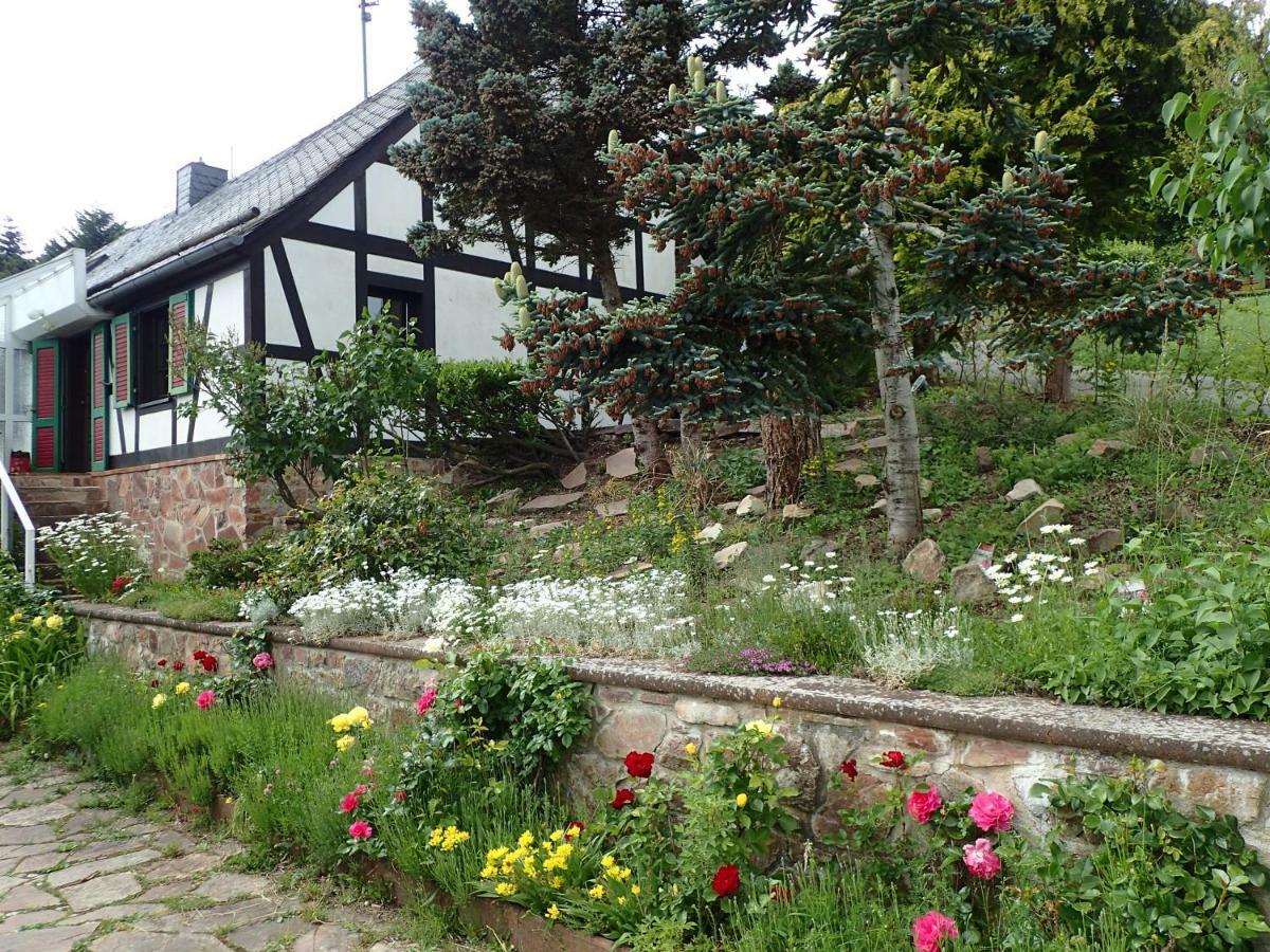 vakantiehuis Hunsrück Leisel Exterior foto